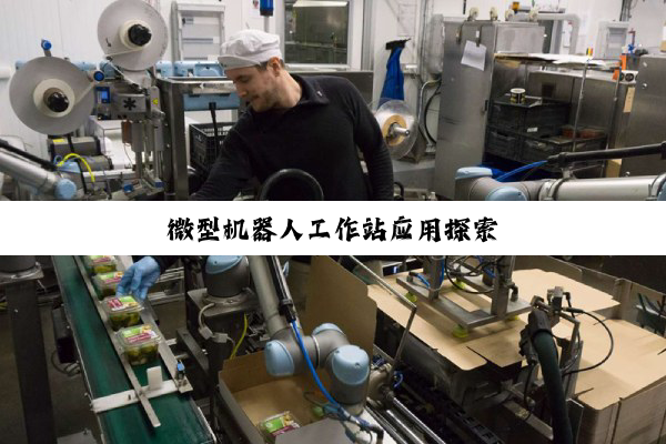 微型机器人工作站应用探索